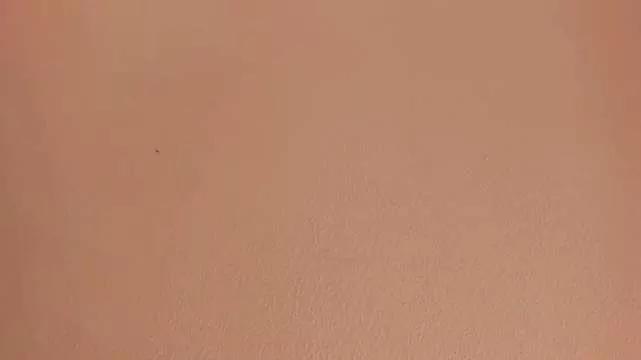 Gabby_Haze from StripChat
