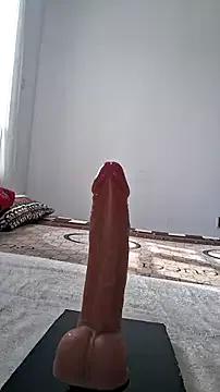 GlobeTrottieHottie1 webcams show profile image 