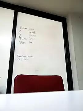 Dirty chat webcam: explore liveshows with versed models, from laying bare to fetishes, in a variety of sexy free adult webcams.