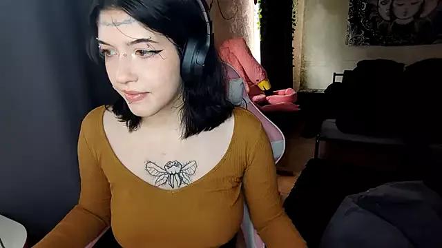 Harakasssi webcams show profile image 