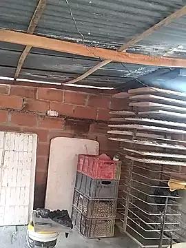 Hoteder webcams show profile image 