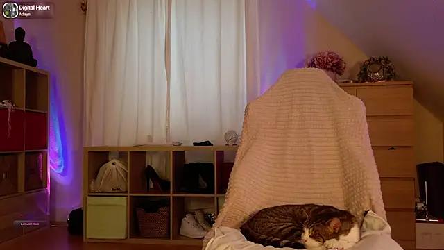 Dirty chat webcam: explore liveshows with versed models, from laying bare to fetishes, in a variety of sexy free adult webcams.