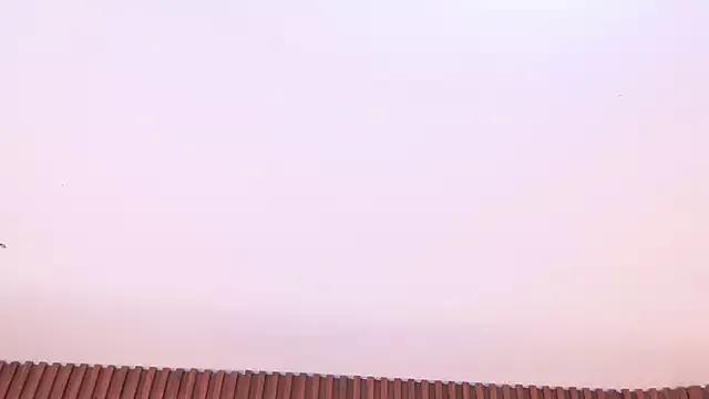 IrissBloom from StripChat is Freechat