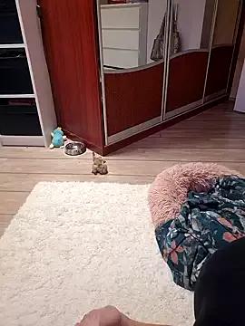 isabellaandtom from StripChat is Freechat