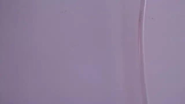 IsabellaForever from StripChat is Freechat