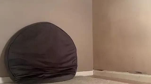 jennytwinkle69 from StripChat
