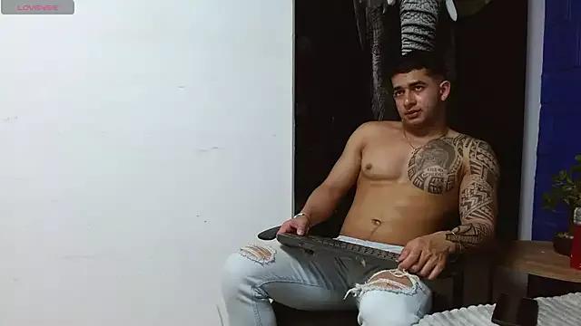 King_falconer webcams show profile image 