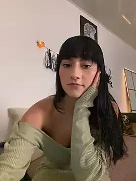 Lenkaa webcams show profile image 