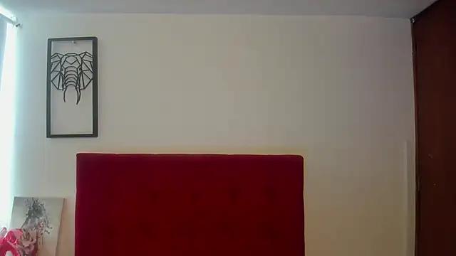 Dirty chat webcam: explore liveshows with versed models, from laying bare to fetishes, in a variety of sexy free adult webcams.