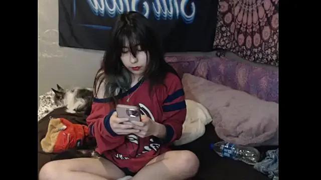 Dirty chat webcam: explore liveshows with versed models, from laying bare to fetishes, in a variety of sexy free adult webcams.