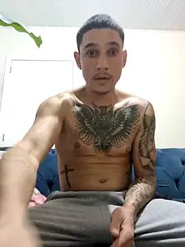 Dirty chat webcam: explore liveshows with versed models, from laying bare to fetishes, in a variety of sexy free adult webcams.