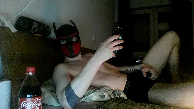 MolleDolle from StripChat is Freechat