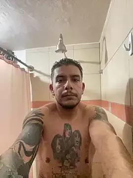 Molly1993rrrrrrrf webcams show profile image 