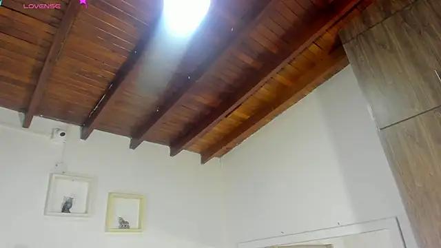 Dirty chat webcam: explore liveshows with versed models, from laying bare to fetishes, in a variety of sexy free adult webcams.