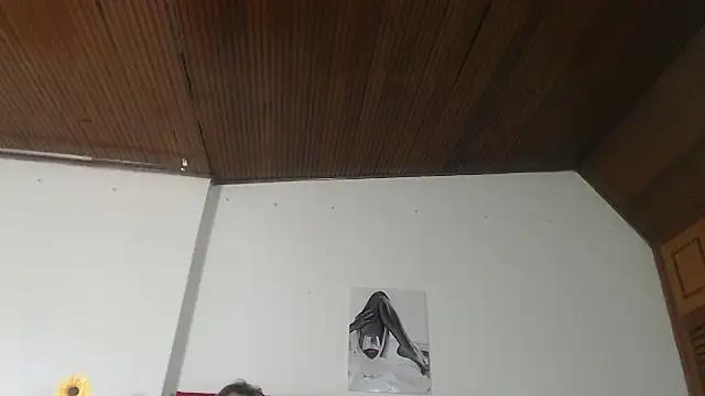 Dirty chat webcam: explore liveshows with versed models, from laying bare to fetishes, in a variety of sexy free adult webcams.