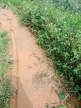 nhinhi-sexy from StripChat