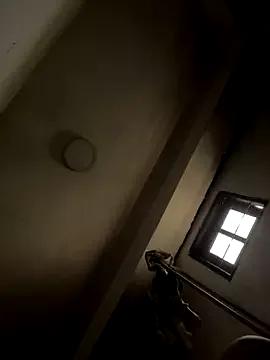 NIGHTFOX-89 webcams show profile image 