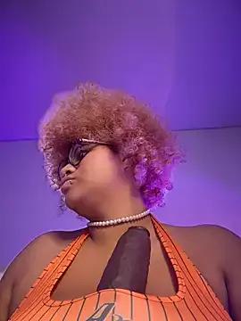 Nikicatwild webcams show profile image 