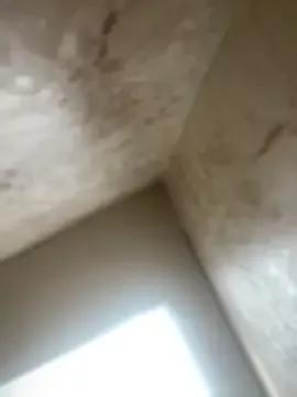 Nikki_Nyx from StripChat