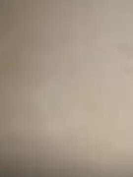 OrchidBae webcams show profile image 