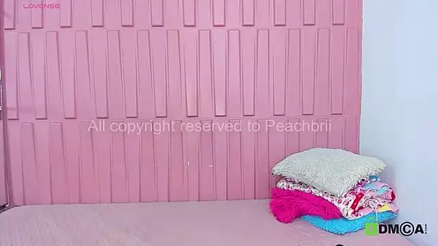 PechBri webcams show profile image 