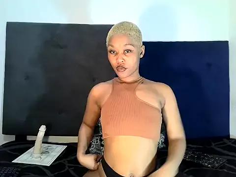 ReginaStar16 from StripChat is Freechat