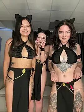 Dirty chat webcam: explore liveshows with versed models, from laying bare to fetishes, in a variety of sexy free adult webcams.