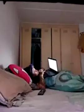 Shadow_Secret from StripChat is Freechat