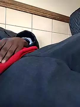 Shebeshid webcams show profile image 