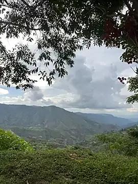 Sky-wolves webcams show profile image 