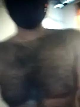 SL_BEAR webcams show profile image 