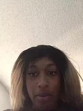 SoftSinz webcams show profile image 