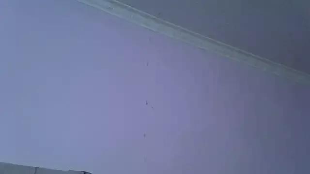 Springbock56 webcams show profile image 