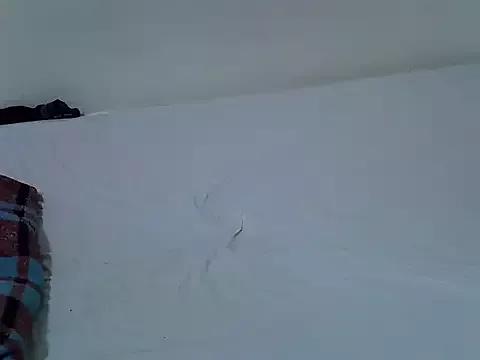 springly_love from StripChat is Freechat