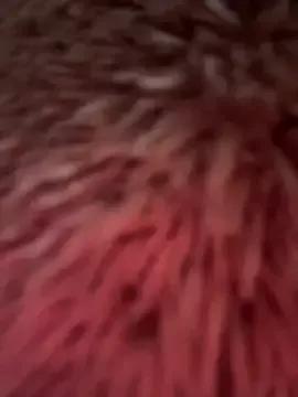 stassie_ from StripChat
