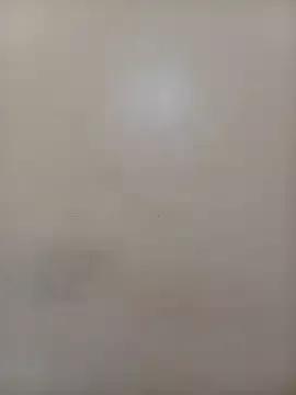 StormzyLeila from StripChat is Freechat