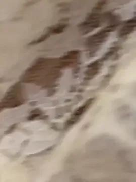 Sweets-jaanu from StripChat is Freechat