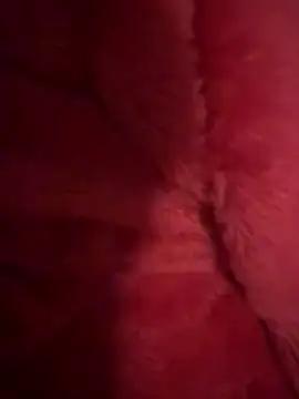 sweetwesla02 from StripChat