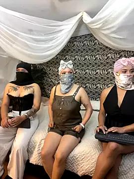 TheHarem from StripChat
