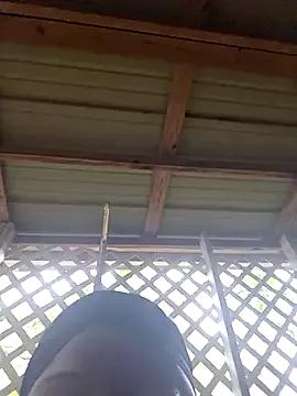 TigOBittiesTheOriginal from StripChat is Freechat