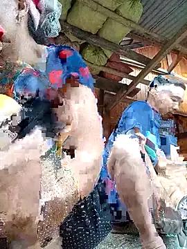 TinTin321 from StripChat