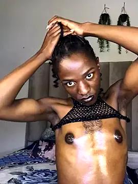 Trans_fairy from StripChat is Freechat
