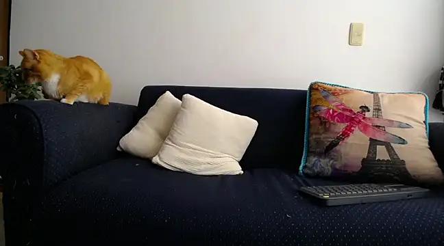 Dirty chat webcam: explore liveshows with versed models, from laying bare to fetishes, in a variety of sexy free adult webcams.